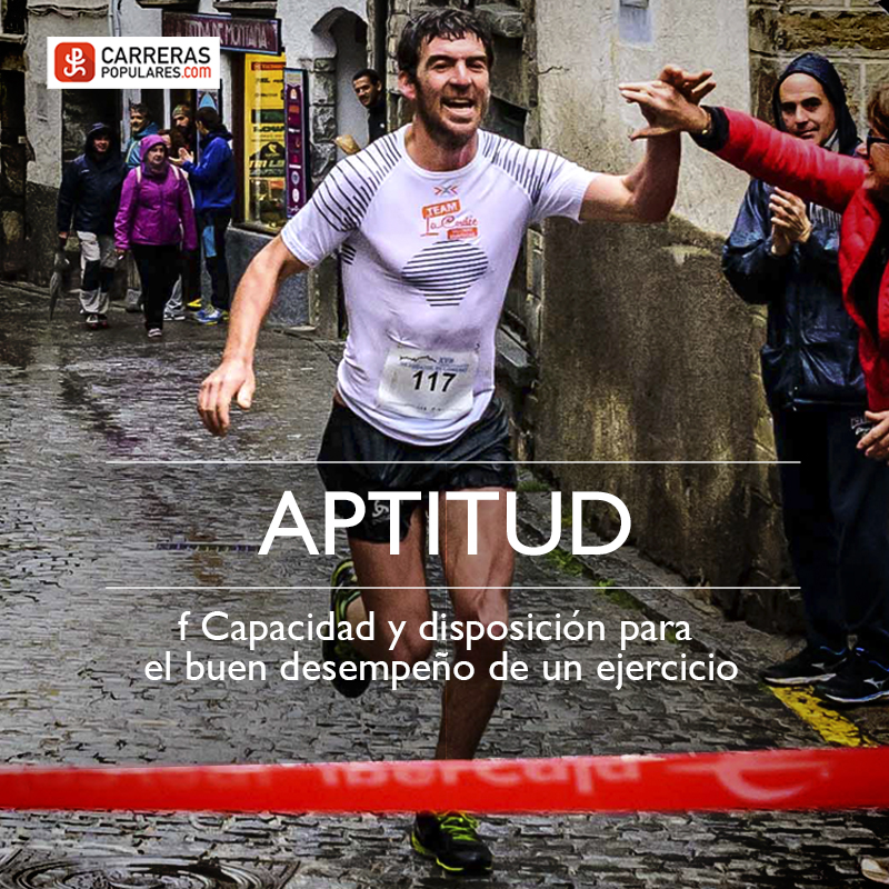 Aptitud: capacidad y disposición para el buen desempeño de un ejercicio