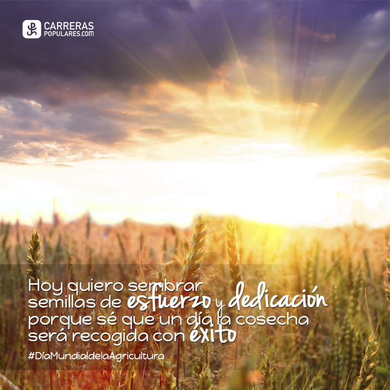 Siembra esfuerzo y cosecharás éxitos #DíaMundialdelaAgricultura