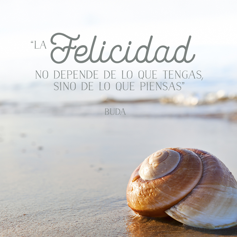 ´La felicidad no depende de lo que tengas, sino de lo que piensas´