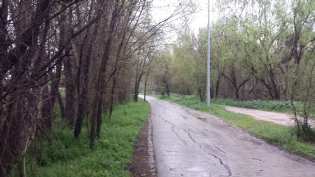 Camino del Parque Lineal del Manzanares